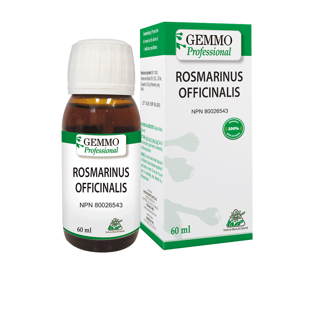 ROSMARINUS 1DH GEMMO