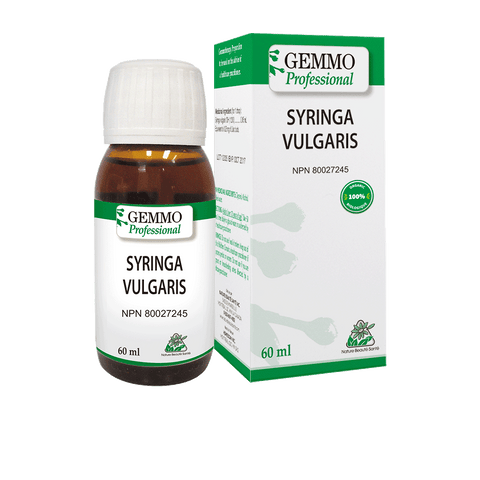 ORGANIC GEMMOTHERAPY Syringa Vulgaris BIO 60 ml