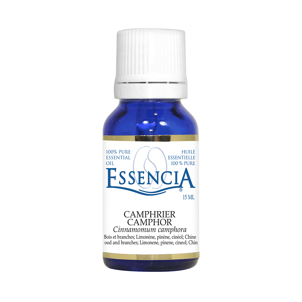 ESSENCIA    Camphor (Cinnamomum camphora)    15 ml