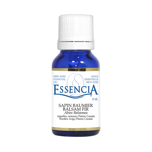 ESSENCIA    Balsam Fir (Abies balsamea)    15 ml