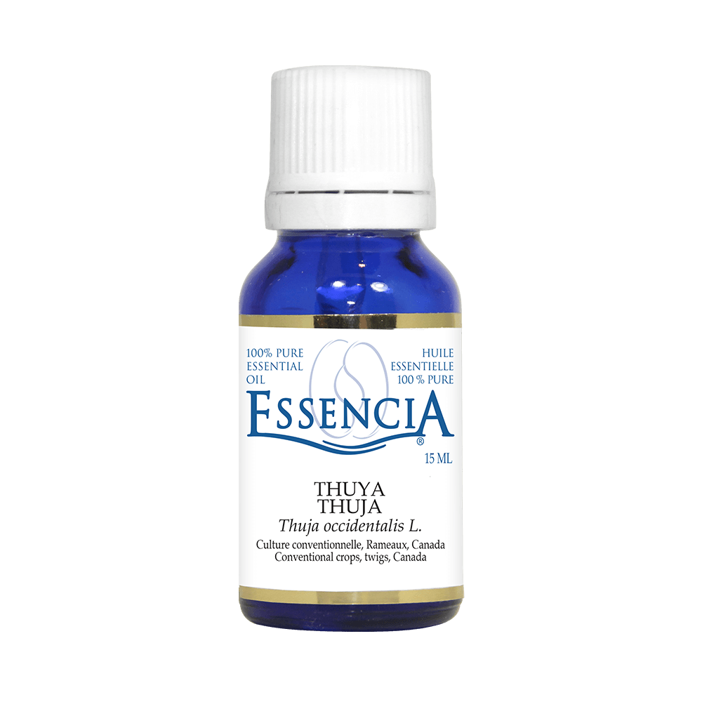 ESSENCIA    Thuya (Thuya occidentalis)    15 mL