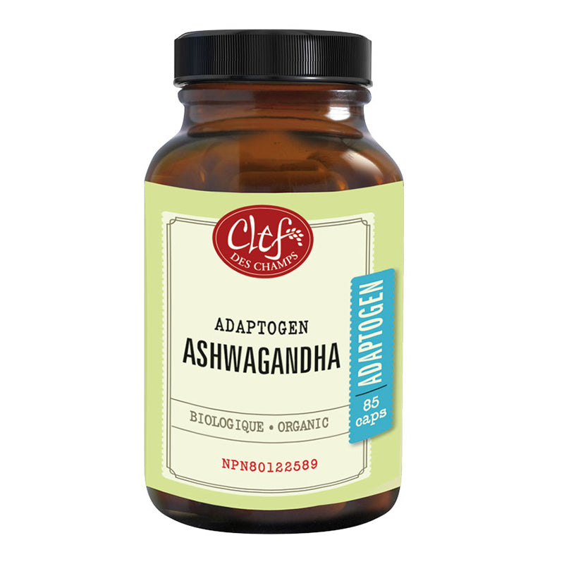 ASHWAGANDHA Capsules organic 60 500