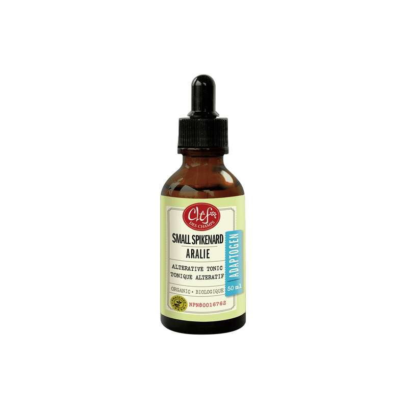 SMALL SPIKENARD Tincture organic 50 ML