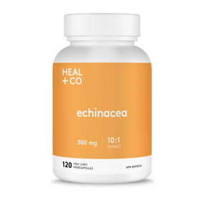 Heal + Co.   Echinacea (10:1 extract) 500mg 120vcap