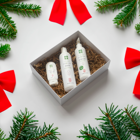 DRUIDE Laboratories Pur Pure Holiday Kit 1box