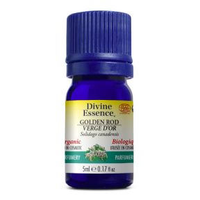 Divine Essence   Golden Rod (Organic) 5ml