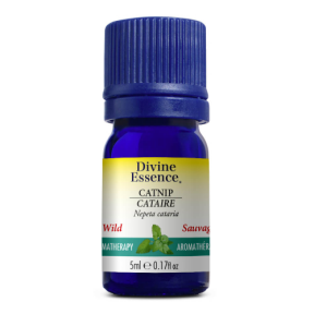 Divine Essence   Catnip (Wild) 5ml
