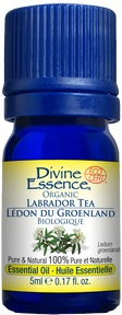 Divine Essence   Labrador Tea Organic 5ml