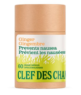 GINGER Capsules organic 60 275