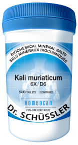 SCHÜSSLER MINERAL TISSUE SALTS    N°5 Kali muriaticum    NO.5-500 6X