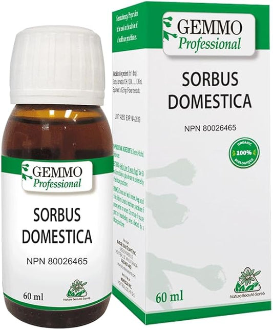 ORGANIC GEMMOTHERAPY    Sorbus Domestica BIO    60 ml