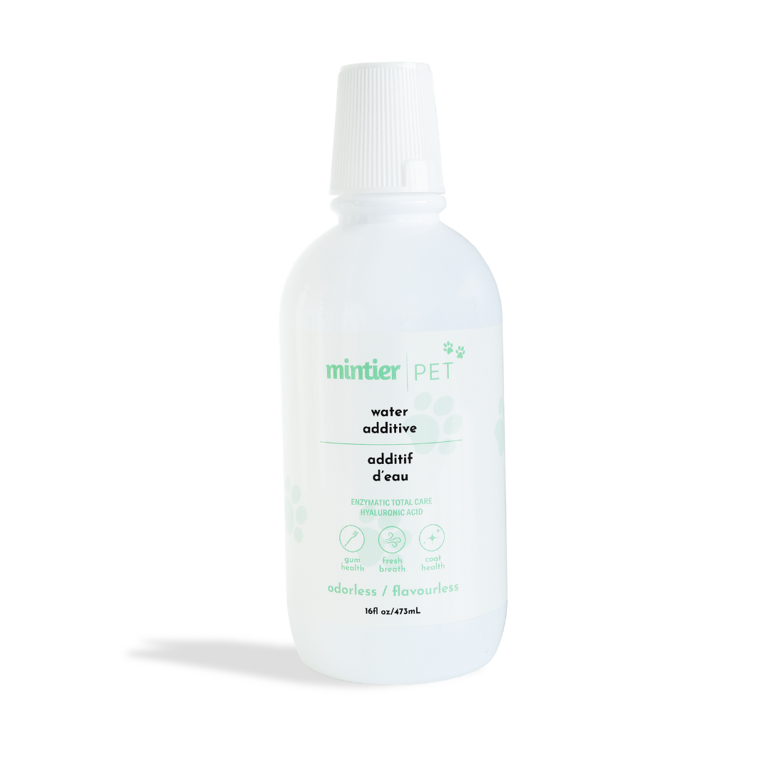 Mintier   Pet Water Additive 473ml