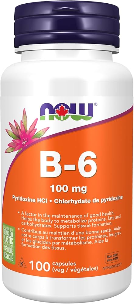 NOW B-6 100mg 100cap