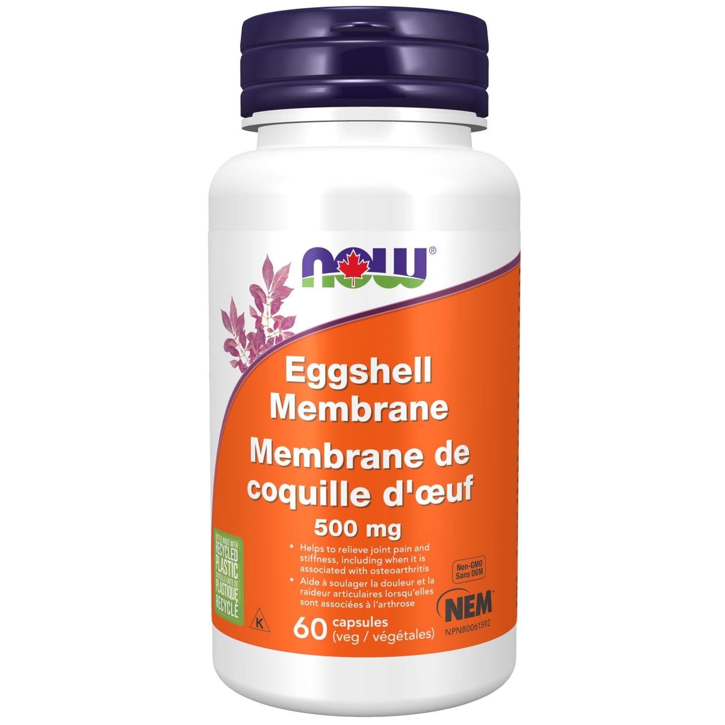 NOW Eggshell Membrane NEM® 500mg 60vcap