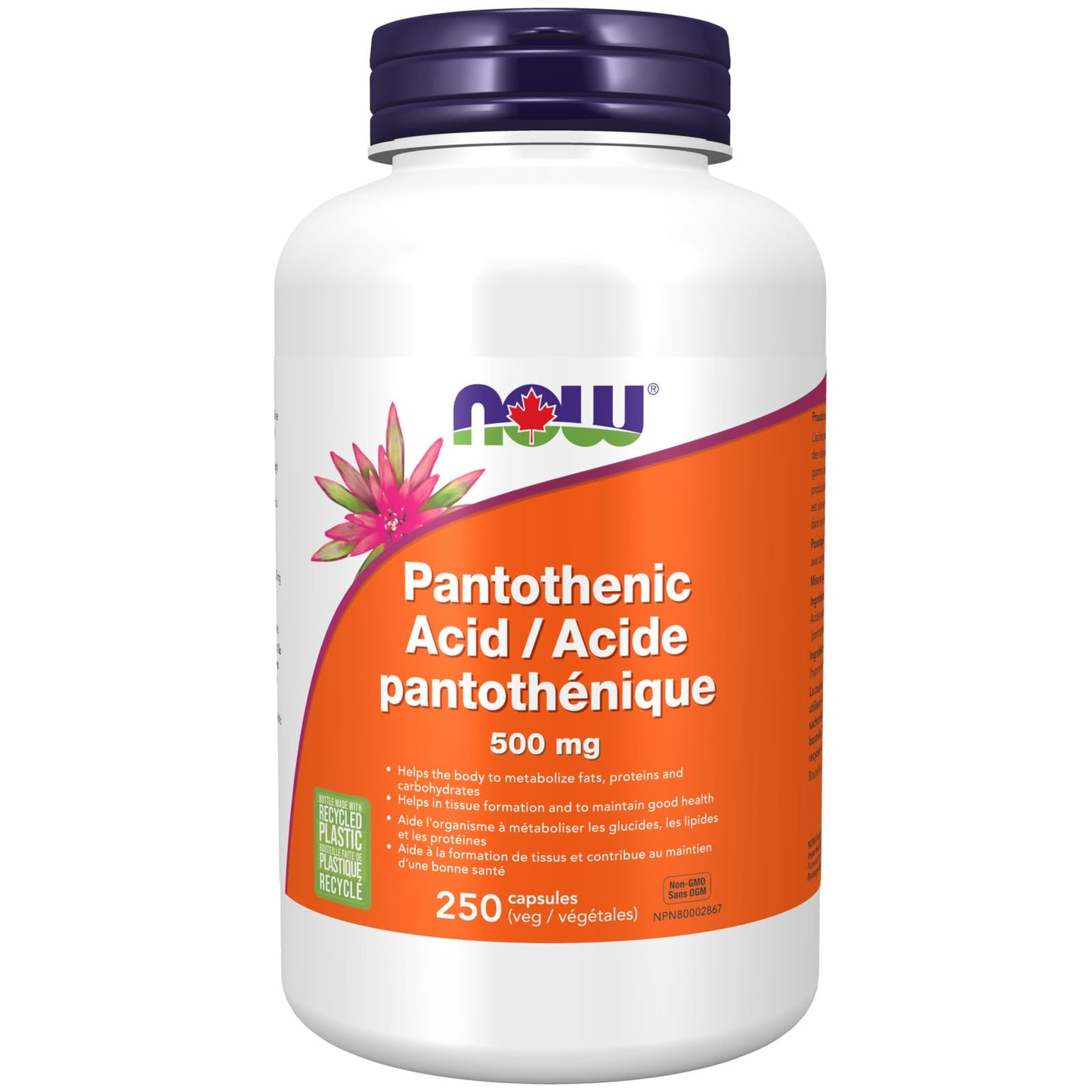 NOW Pantothenic Acid 500mg 250cap