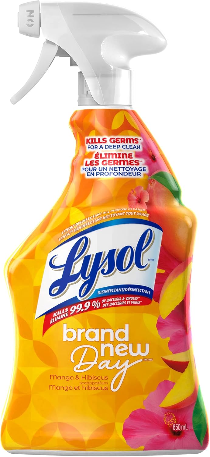LYSOL ALL PURPOSE CLEANER MANGO&HIBISCUS 650ML pack of 12