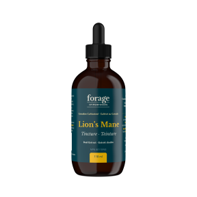 Forage Hyperfoods   Lion's Mane Tincture - Original 118ml