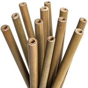 The Last Straw   Bamboo Straws 10ct