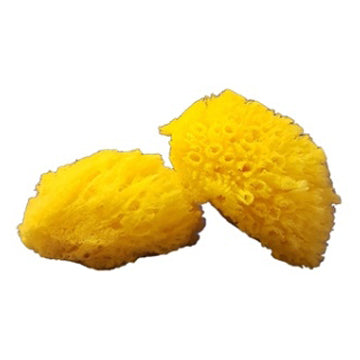 AXEL KRAFT-SEA SPONGE, PALM SIZE, 2PK