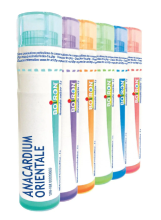 Anacardium Orientale  1 M