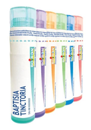Baptisia Tinctoria  30 CH