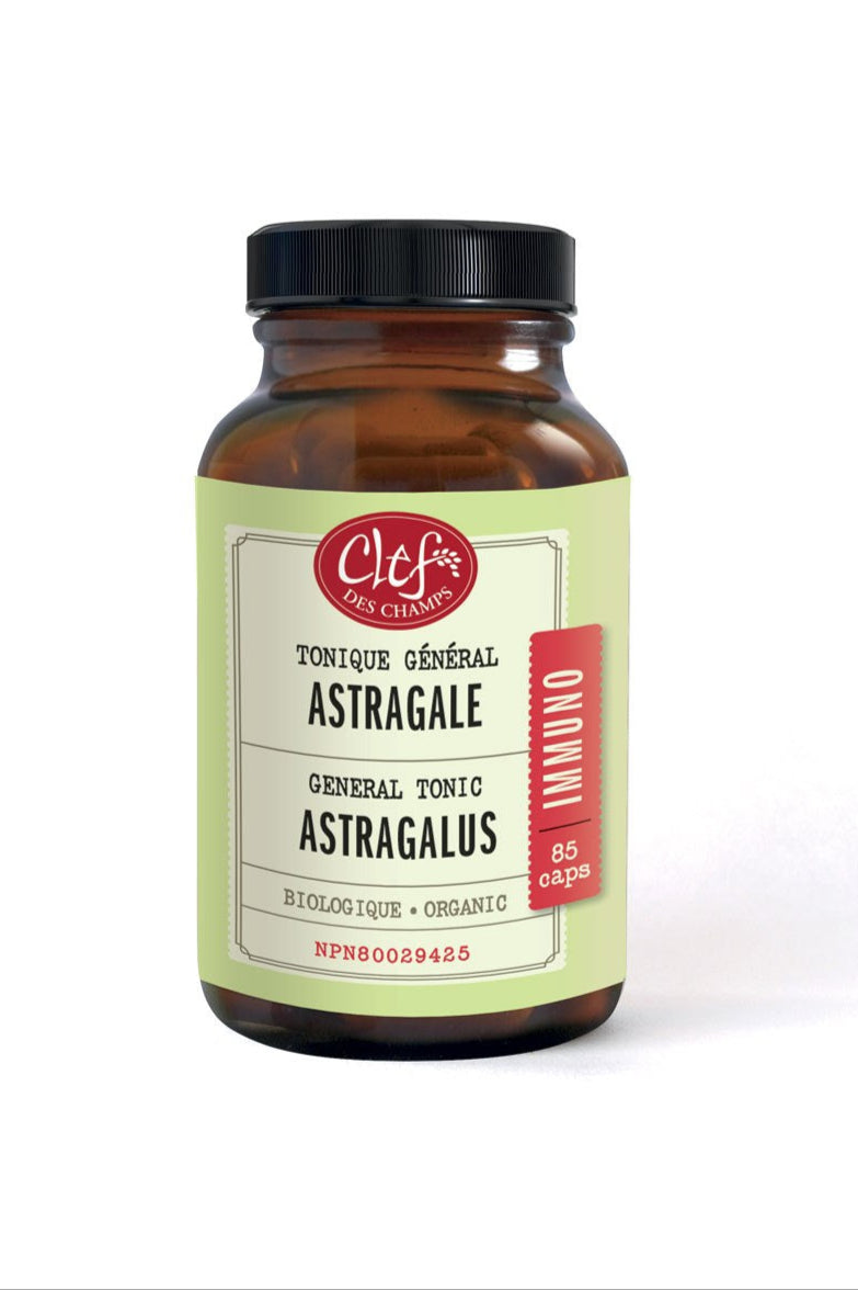 ASTRAGALUS Capsules organic 60 280