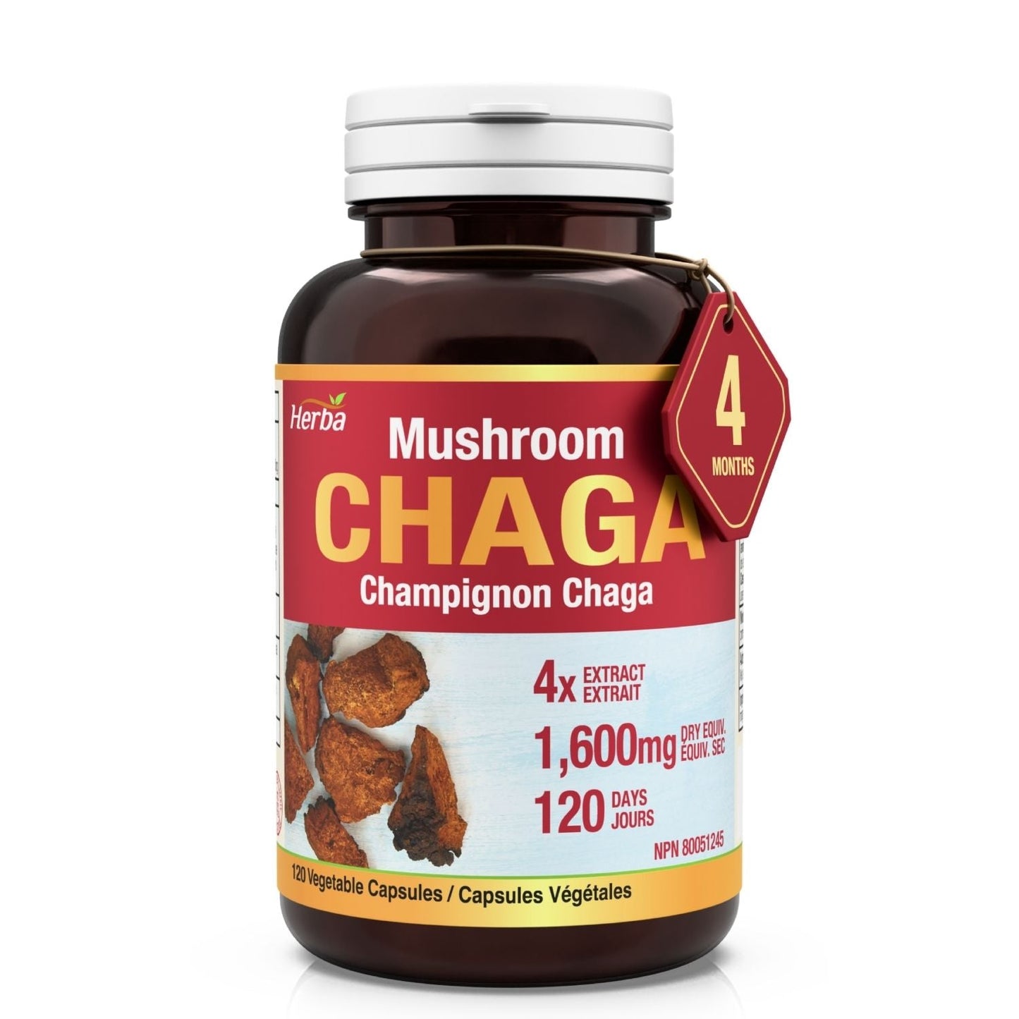 Herba Chaga Mushroom 400mg - 120 Capsules