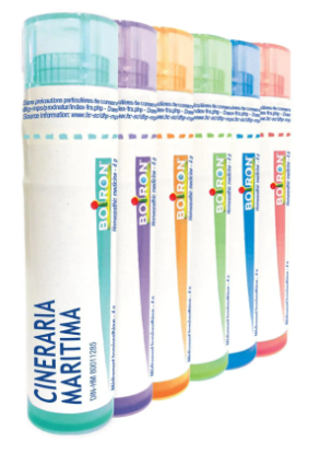 Cineraria maritima  30 CH