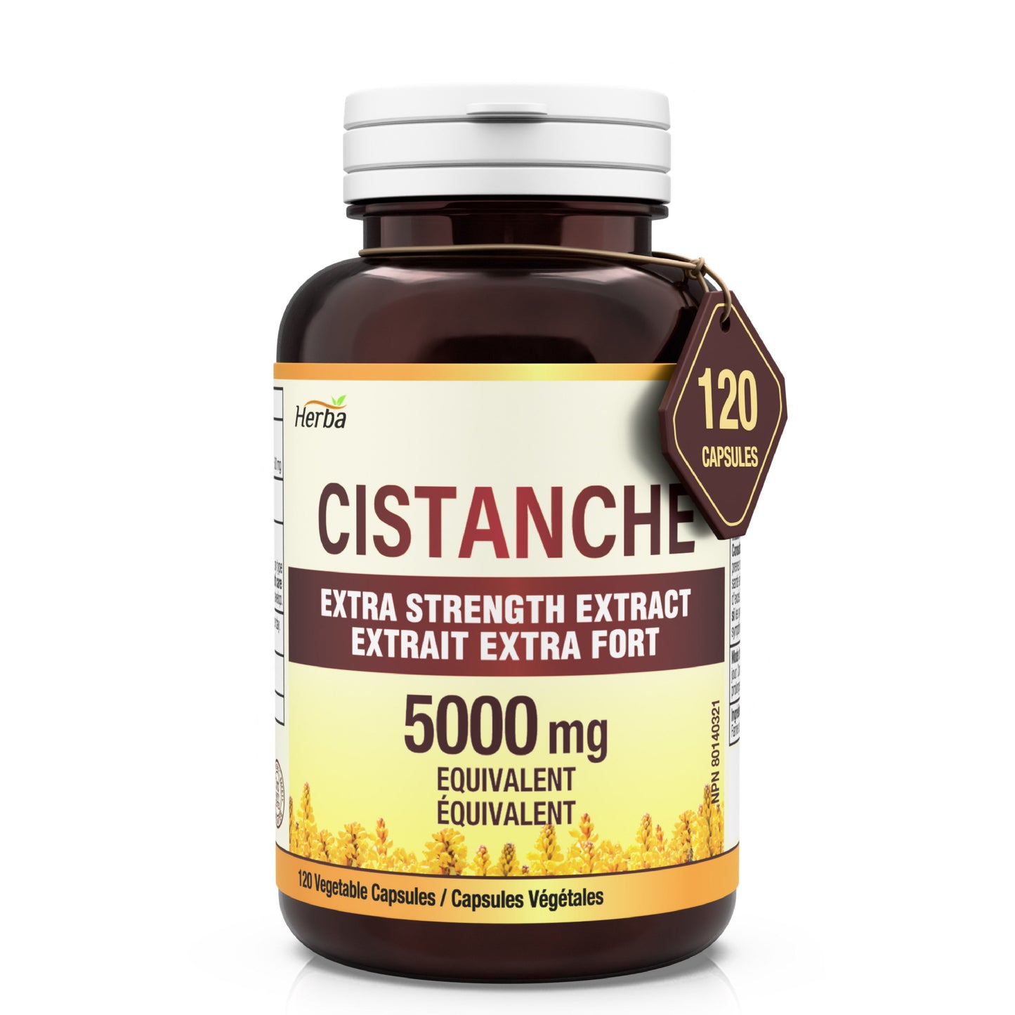 Herba Cistanche 500mg - 120 Capsules