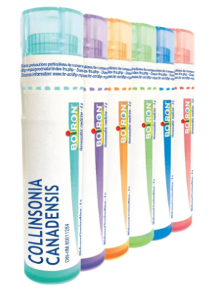 Collinsonia Canadensis  30 CH