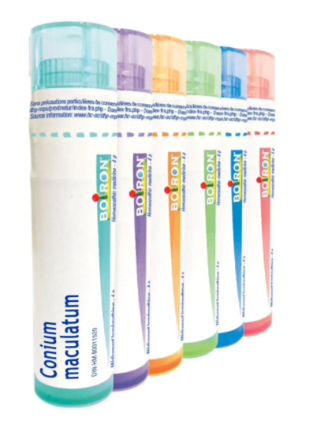 Conium maculatum  1 M