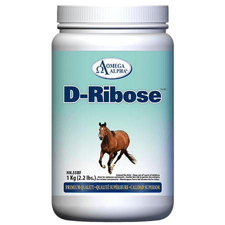 Omega Alpha D-Ribose 1 kg / 2.2 lbs