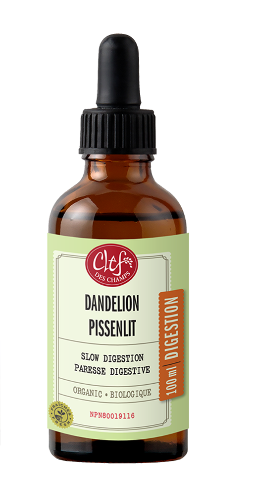 DANDELION Tincture organic 100 ML