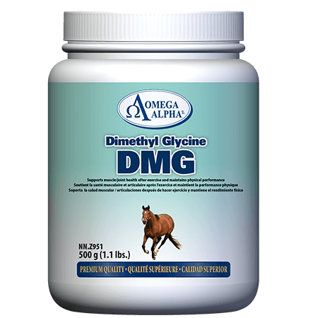 Omega Alpha Dimethyl Glycine (DMG) 500 g / 1.1 lbs