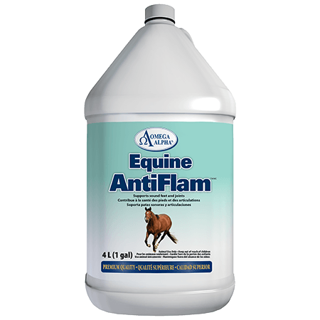 Omega Alpha AntiFlam® 4 L / 1 Gal