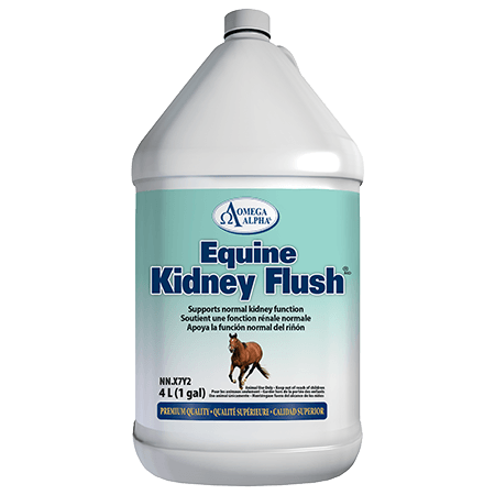 Omega Alpha Kidney Flush® 4 L / 1 Gal