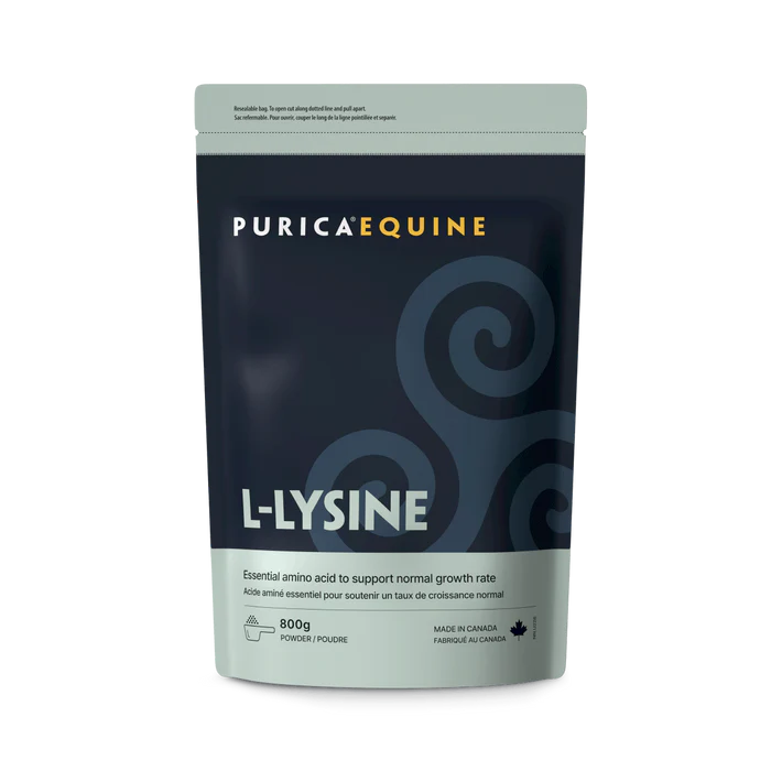 PURICA L-Lysine 800g powder