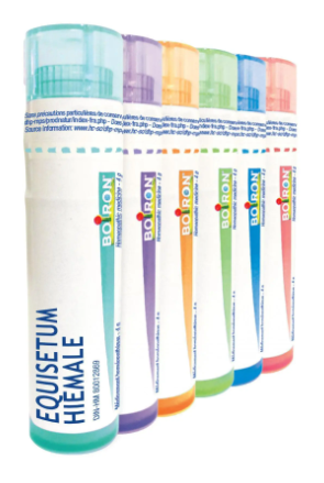 Equisetum Hiemale  30 CH