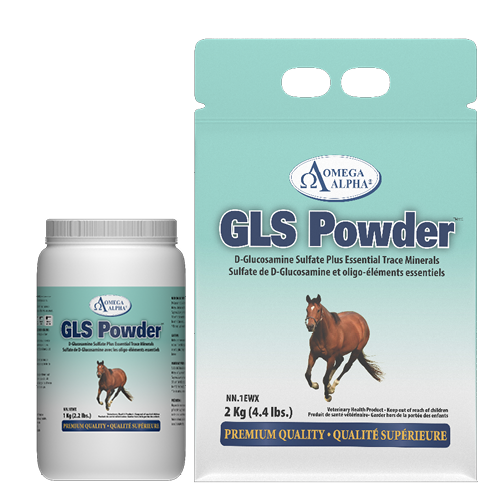 Omega Alpha GLS Powder (D-Glucosamine) 2 kg / 4.4 lbs