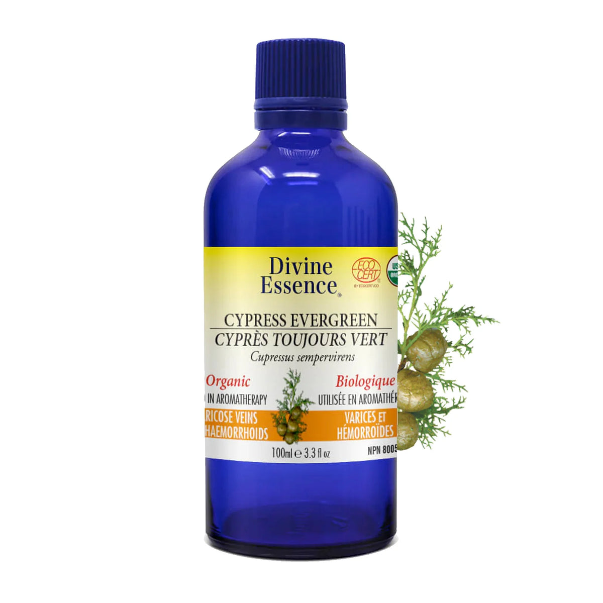 Divine Essence - Cypress - Evergreen (Organic) - 100ml