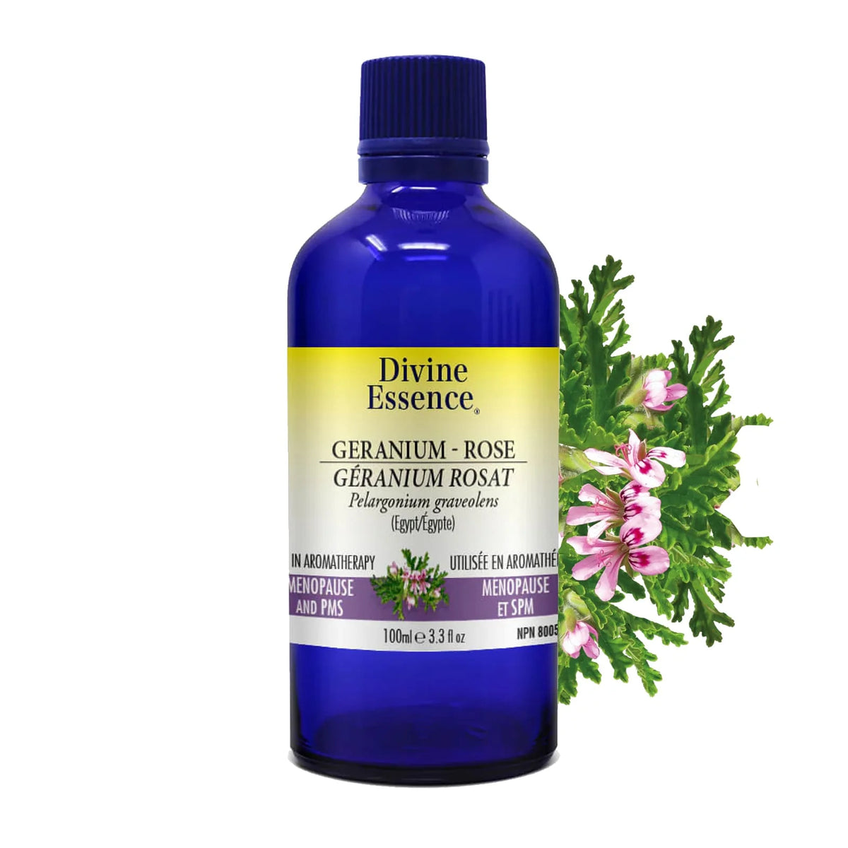 Divine Essence - Geranium Rose (Egypt) (Conv) - 100ml