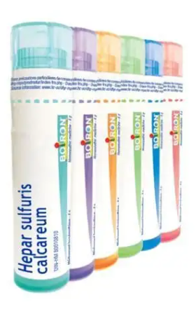 Hepar sulphuris calcareum  6 CH