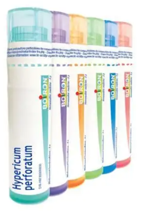 Hypericum perforatum  6 CH