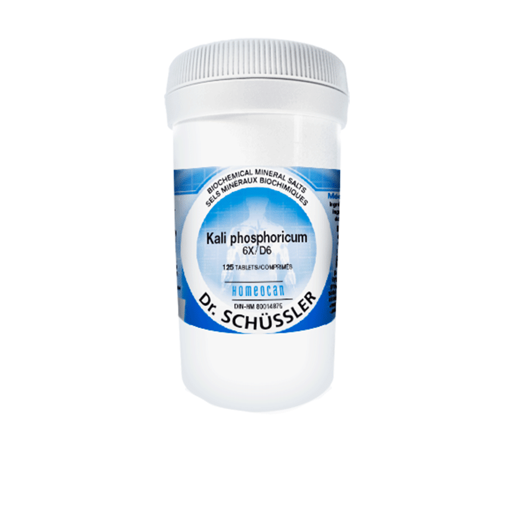 SCHÜSSLER MINERAL TISSUE SALTS N°6 Kali phosphoricum NO.6-500 12X