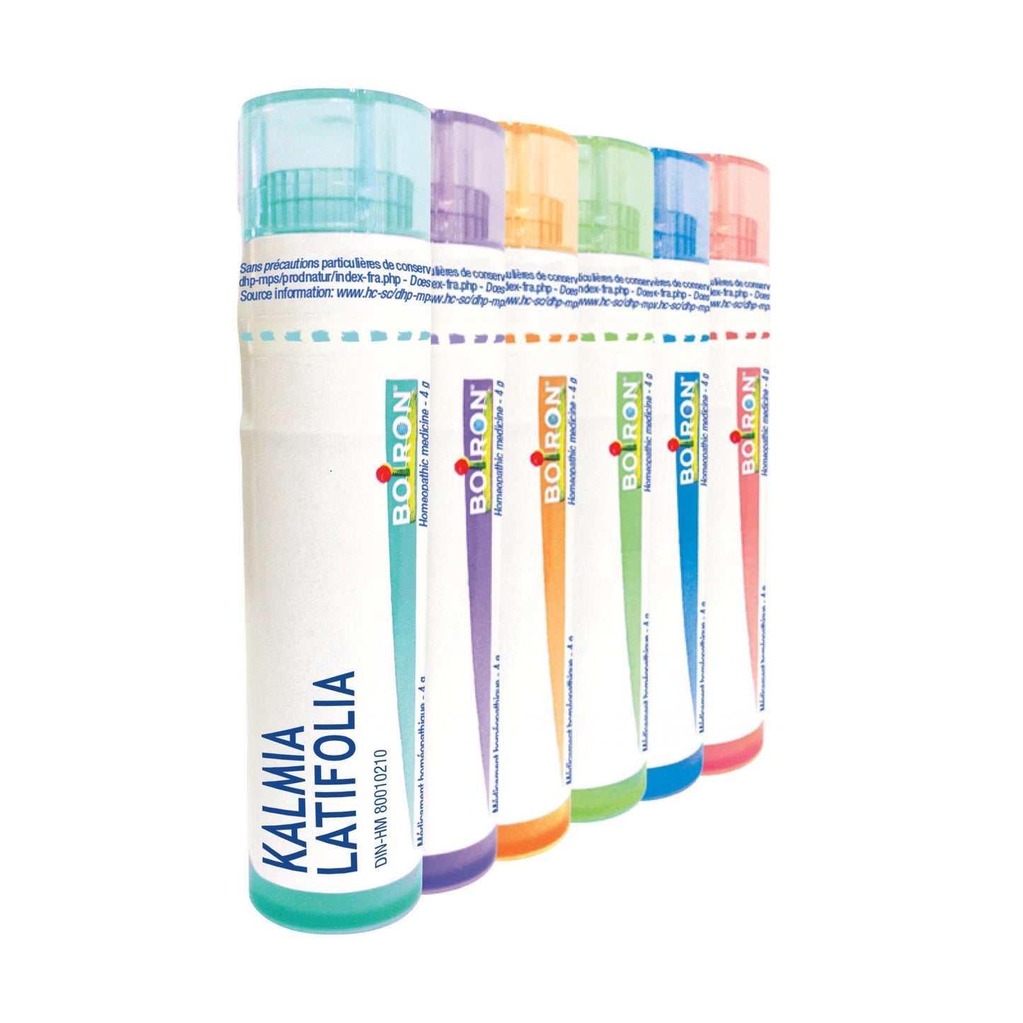 KALMIA LATIFOLIA 1M  60ml