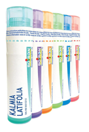 Kalmia Latifolia  10 M