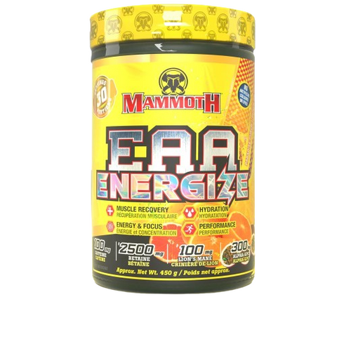 Mammoth Mammoth EAA Energize Paradise Punch 30 serve