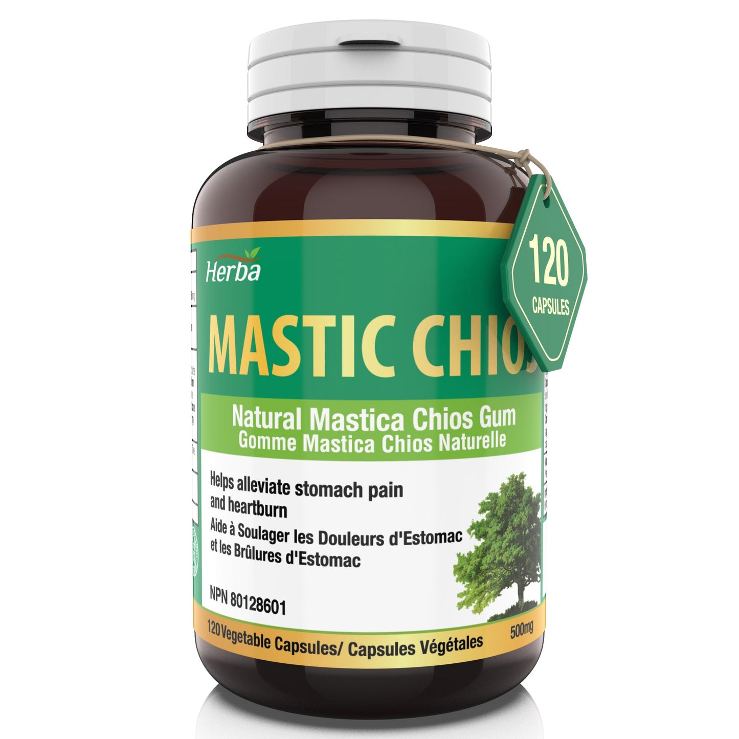 Herba Mastic Chios Gum 500mg - 120 Capsules