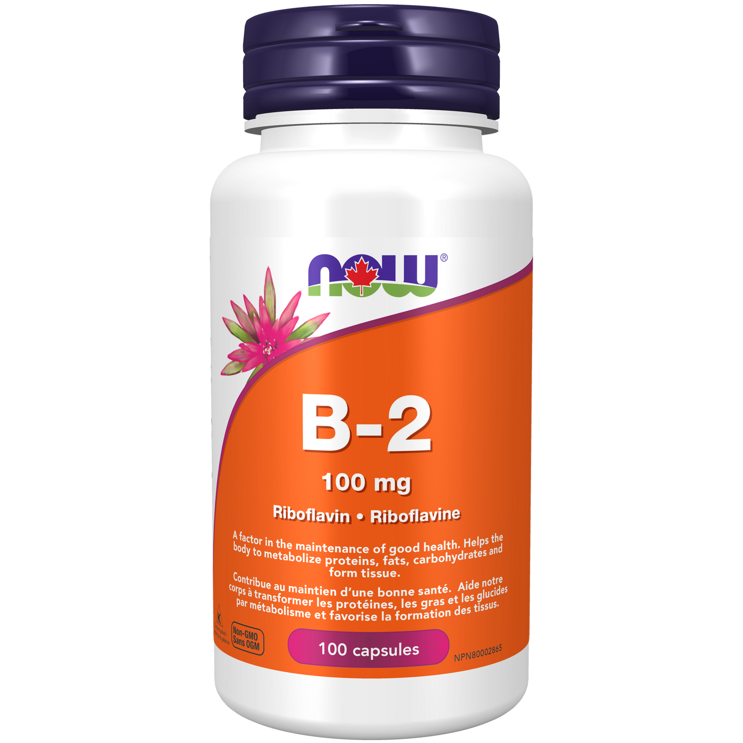 NOW - NOW B2 100mg Riboflavin 100MG 100CAPS