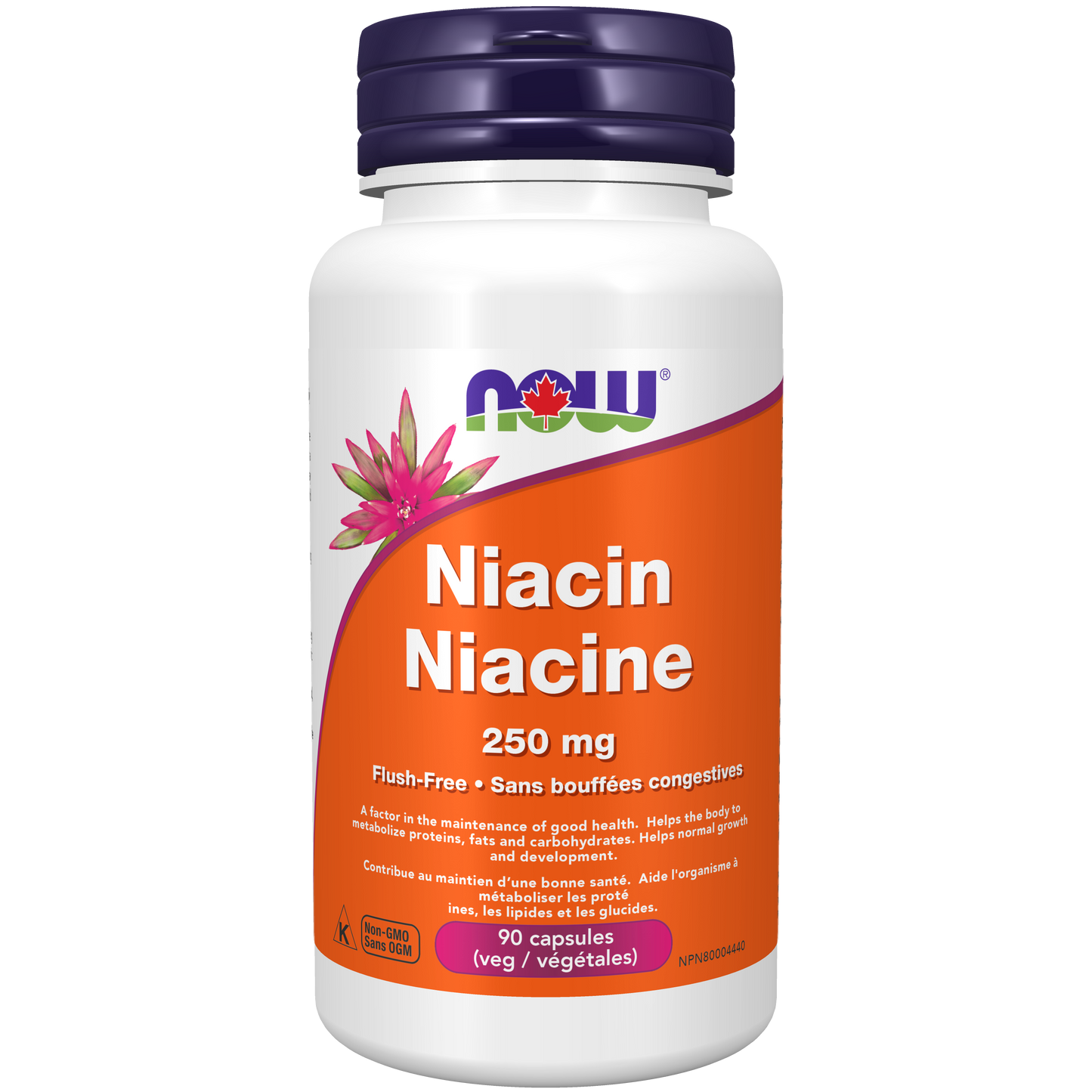 NOW Niacin Flush Free 250mg 90vcap
